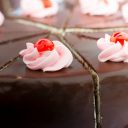 ClareWhite Café | Specialty restaurants